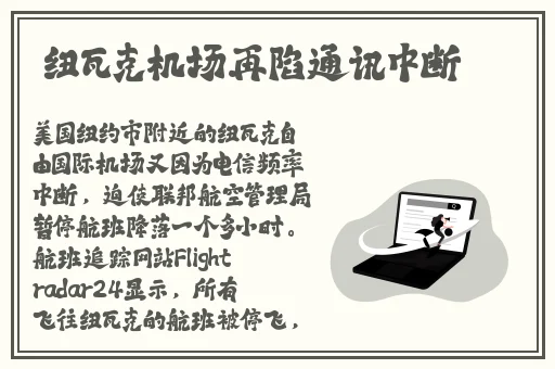 成色好的s31标准版